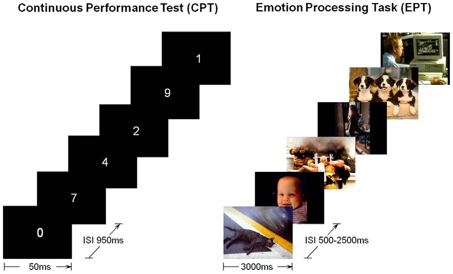Figure 1. Schematic diagrams of the fmri experimental tasks. doi:10.1371/journal.pone.0040054.