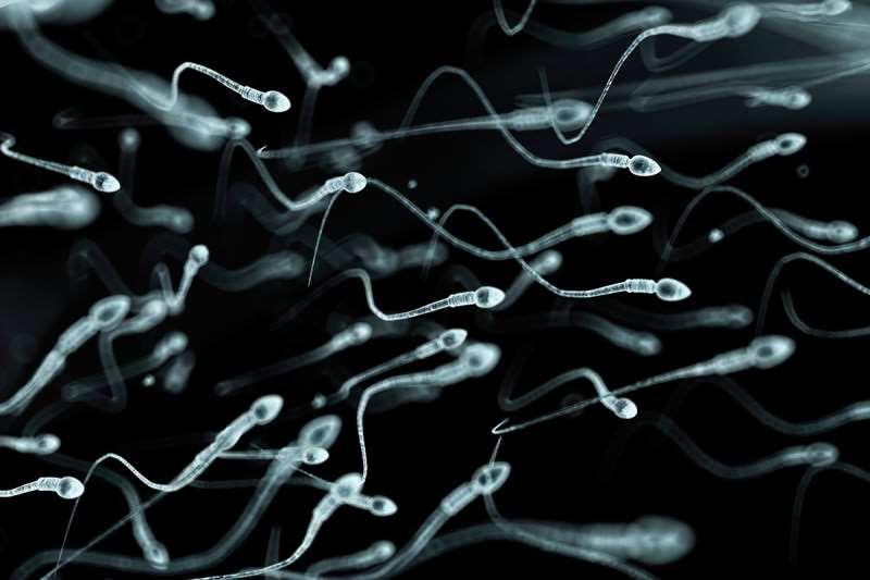 Sperm use