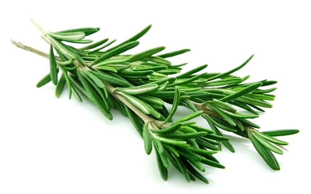 Rosemary Rosemary smells wonderful and its essential oils are energizing and uplifting.