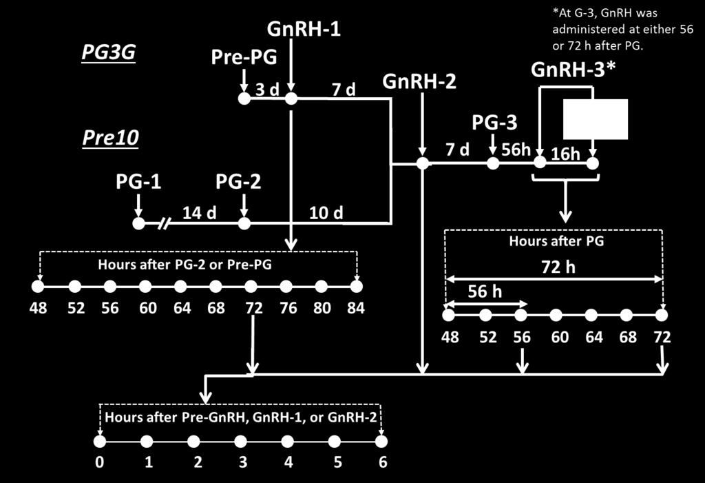 insemination, GnRH = gonadotropin-releasing hormone). 3 * * PG3G PRE10 * P < 0.