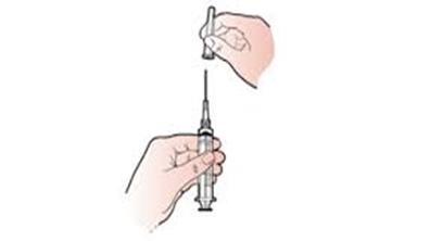 4. Remove the plastic cap from the needle. Make sure nothing touches the needle.