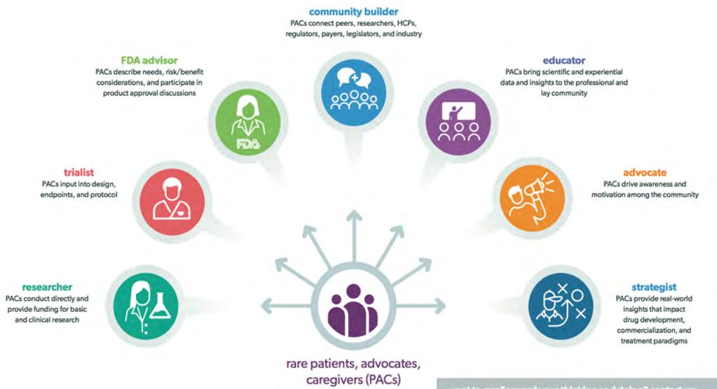 PACs are the Primary Shapers of Their Rare Disease Ecosystem so Involve Them