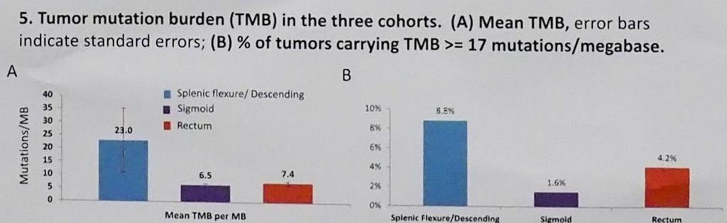 Tumour mutational burden