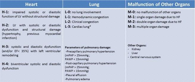 Heart Failure: TNM-Like Classification HLM ClassificationIn each column, different stages of heart (H-1 to H-4), lung (L-0 to L-3), and peripheral organ involvement (i.e., kidney,