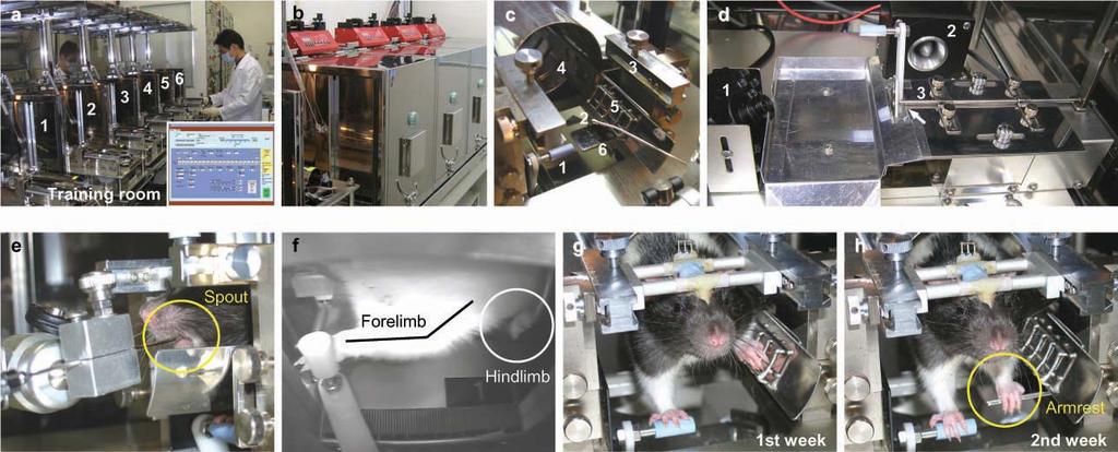 Y. Isomura et al. 2 Supplementary Figure 2. Efficient multi-rat task-training system. (a) Six task-training boxes (1-6) were controlled by one computer (inset).