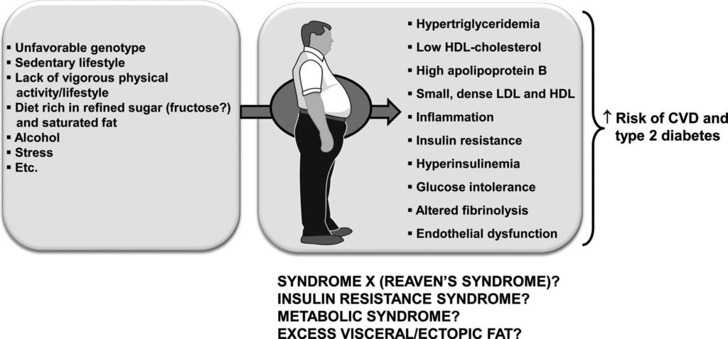 Some of the alterations in the metabolic risk profile that have been found to be related to abdominal obesity assessed by anthropometry and later to excess visceral