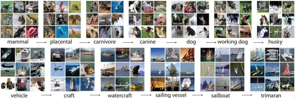 Object Recognition Can identify hundreds of categories of objects.