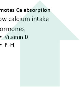 html & sweat & feces Total calcium intake = total body calcium losses Negative balance Positive balance Increased risk for osteoporosis and fracture Older adults, especially post menopausal women