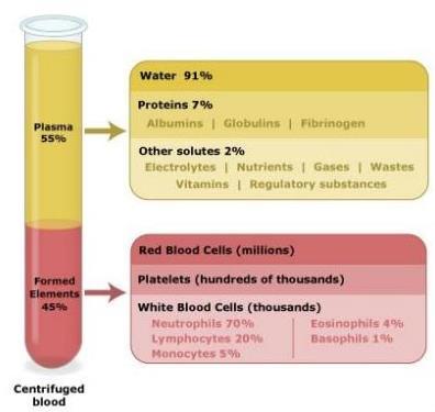 Plasma & Serum Plasma is the liquid portion of blood, it constitutes about 55 % of blood volume.