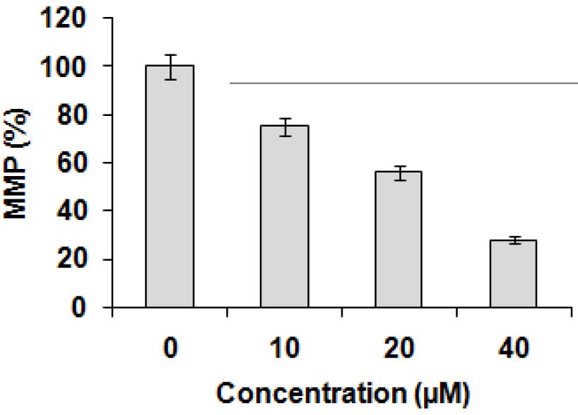 Effect of safranal on cell cycle phase distribution of colo-205 cells. The experiments were carried out in triplicate.