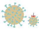 Immunodeficiency Virus