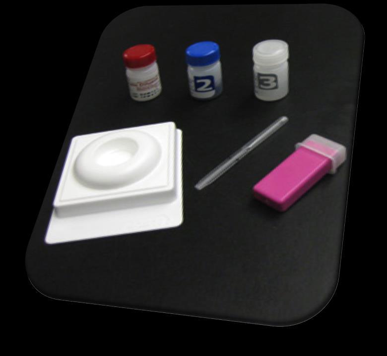 Testing Antibody Screening Test the