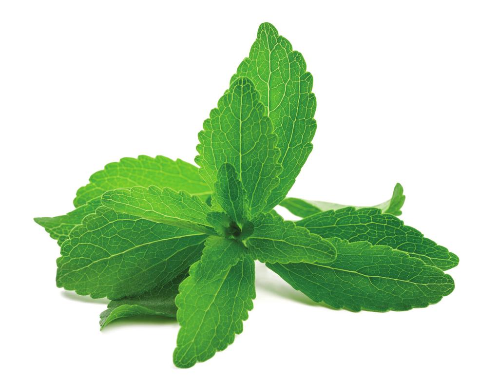 Zero in on Stevia 3 Stevia and its leaf extract were sold as dietary supplements until the Joint FAO/WHO Expert Committee on Food Additives (JECFA) in 2008 approved the purified stevia leaf extracts
