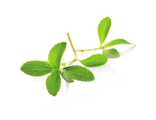 Zero in on Stevia 4 Of all the reported minor steviol glycosides so far, Rebaudioside M and Rebaudioside D (commonly referred to as Reb M and Reb D) are having relatively higher sweetness intensity