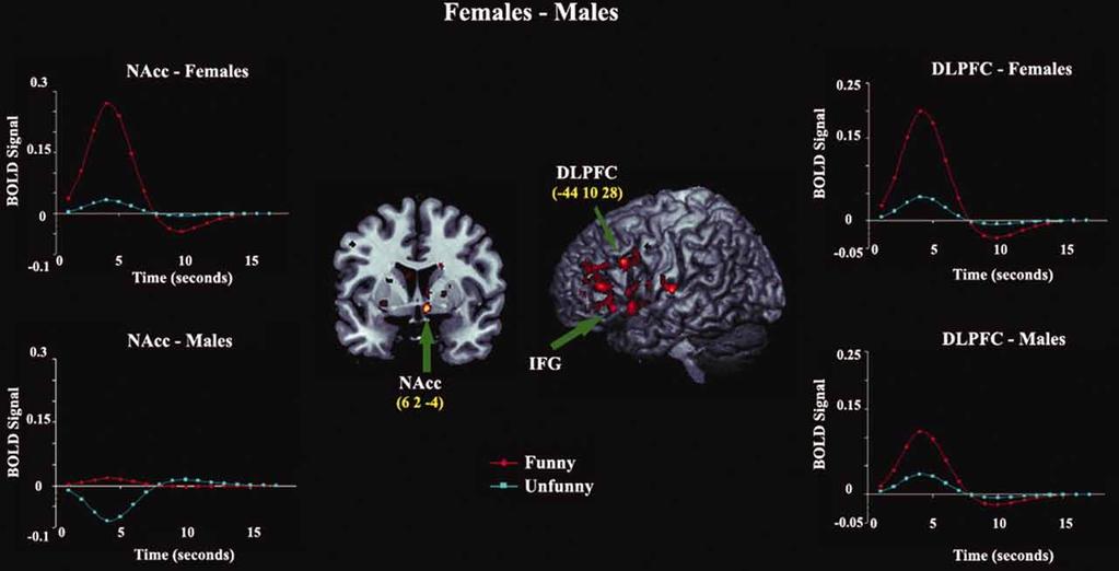 Female - Male activation: Time-series Analysis of NAcc and DLPFC Female - male comparison shows greater female activation in the DLPFC, IFG, and MFG (BA 45, 46, and 47), as well as the NAcc.