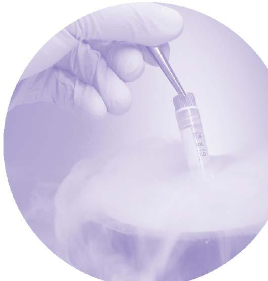 Cryopreservation Media Sperm CRYOPRESERVATION MEDIA FOR SPERM Media containing TEST-yolk buffer (TYB) has been shown to be effective in preserving sperm when refrigerated for short intervals of time,