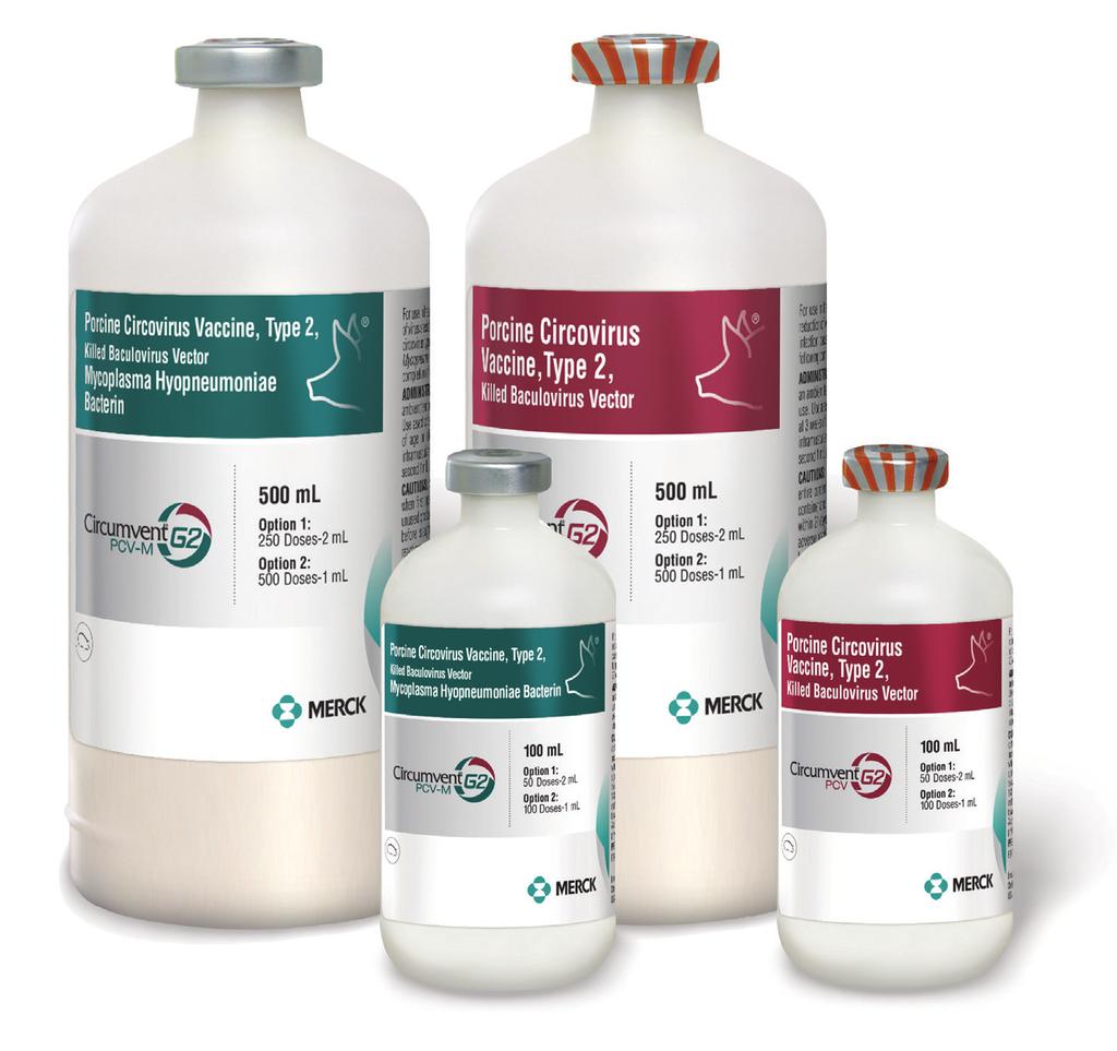 making it easier than ever to vaccinate for each disease. The only PCV2 vaccines approved for use in pigs as early as 3 days of age.