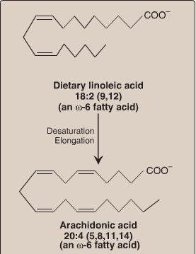 SYNTHESIS OF