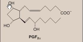 FUNCTIONS OF PROSTAGLANDINS PGF2α(most tissues) Vasoconstriction Bronchoconstriction Contraction of smooth muscle
