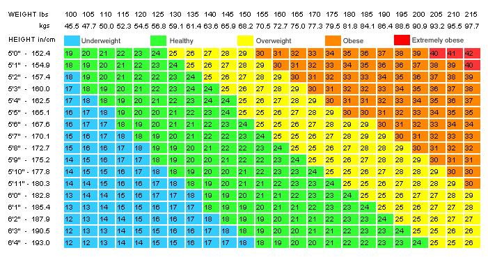 Body Mass Index (BMI) Measures