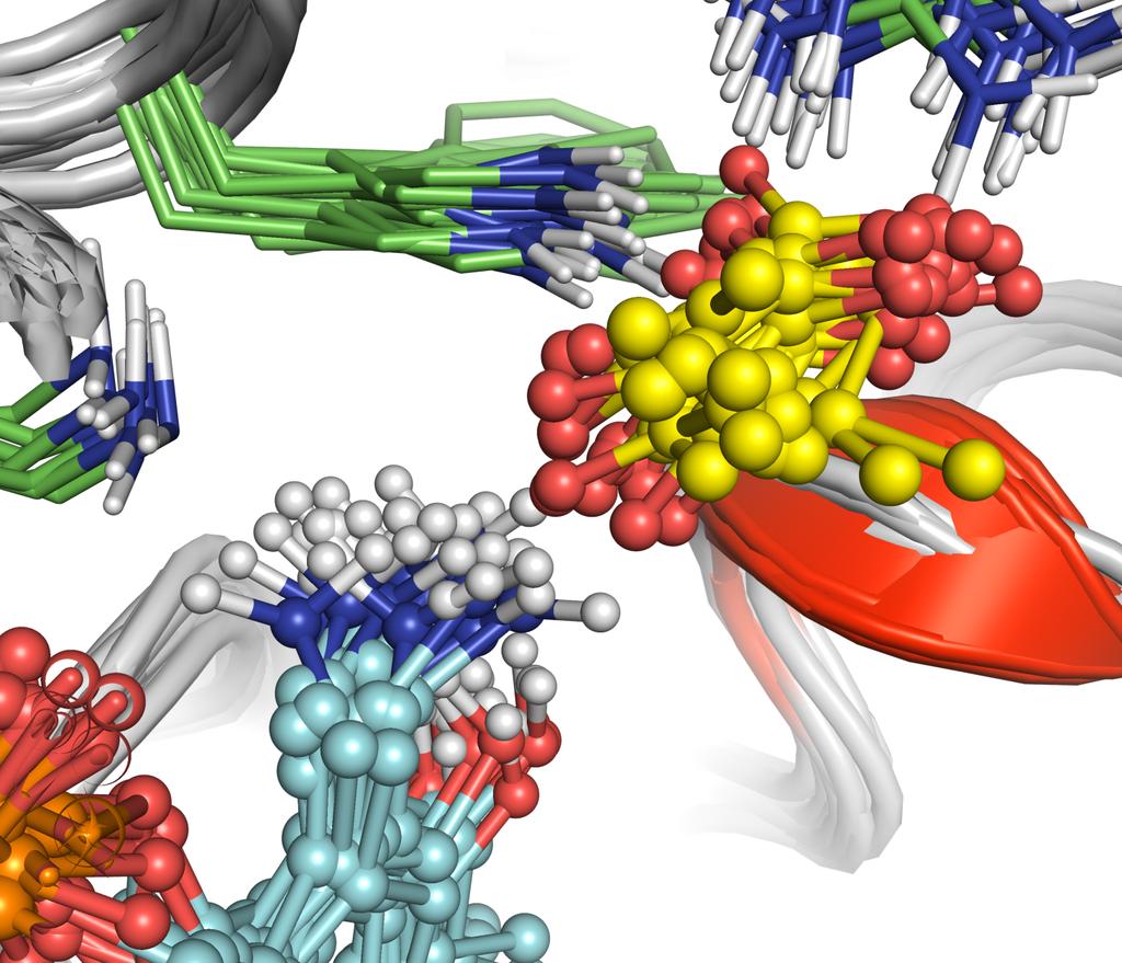 SI 16 Predicting ω- Aminotransferase Catalytic Activity, Sirin et. al.