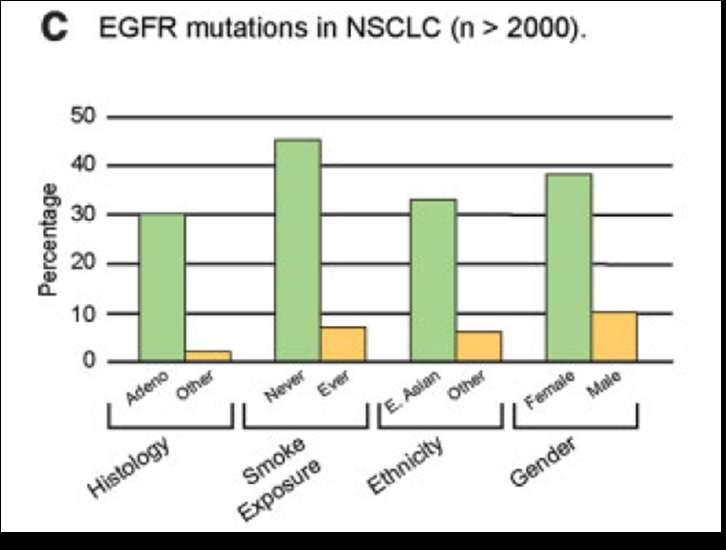 Clinical Attributes that predict EGFR mutations