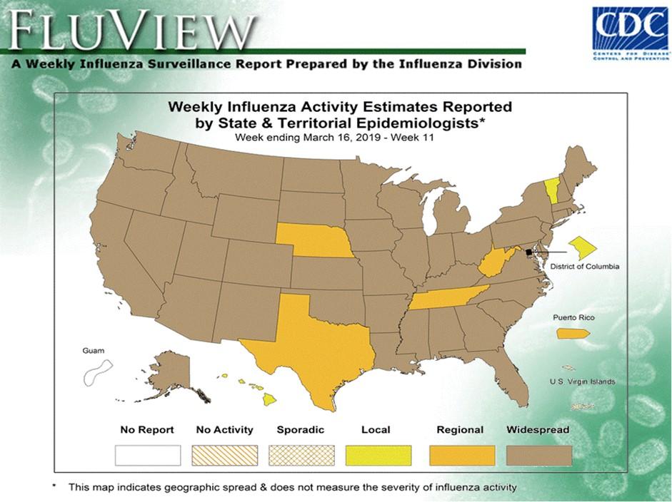 There was a 2 increase among positive influenza B specimens and a 6 increase among positive RSV specimens from week 1 to week 11.
