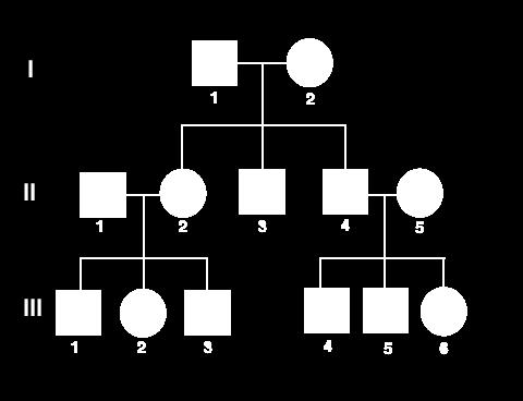 Use Roman numbers to identify generations. 3. Use Arabic numbers to identify individuals within a generation. 4. List siblings from oldest to youngest, from left to right. 5.