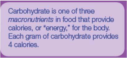 Total Carbohydrates What It Is Carbohydrate is found primarily in plant foods; the exception is dairy products, which contain milk sugar (lactose).