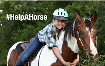 How to Save Horses Through ASPCA Help a Horse Day 2016 The ASPCA