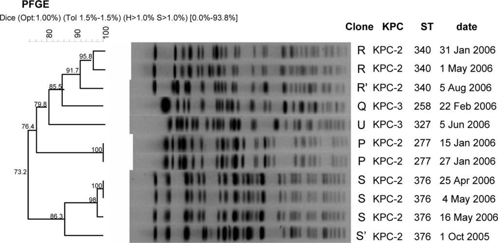 VOL. 54, 2010 MOLECULAR EPIDEMIOLOGY OF KPC-PRODUCING K. PNEUMONIAE 3003 FIG. 1. The genetic relatedness of bla KPC-2 - and bla KPC-3 -producing carbapenem-resistant K.