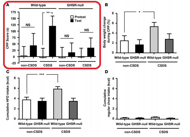 KEY: CPP: conditioned place preference HFD: high fat diet GHSR: growth hormone secretagogue receptor (ghrelin receptor) GHSR-null: ghrelin receptor deficient CSDS: chronic social defeat stress After