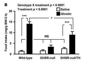 KEY: CPP: conditioned place preference HFD: high fat diet GHSR: growth hormone secretagogue receptor (ghrelin receptor) GHSR-null: ghrelin receptor deficient