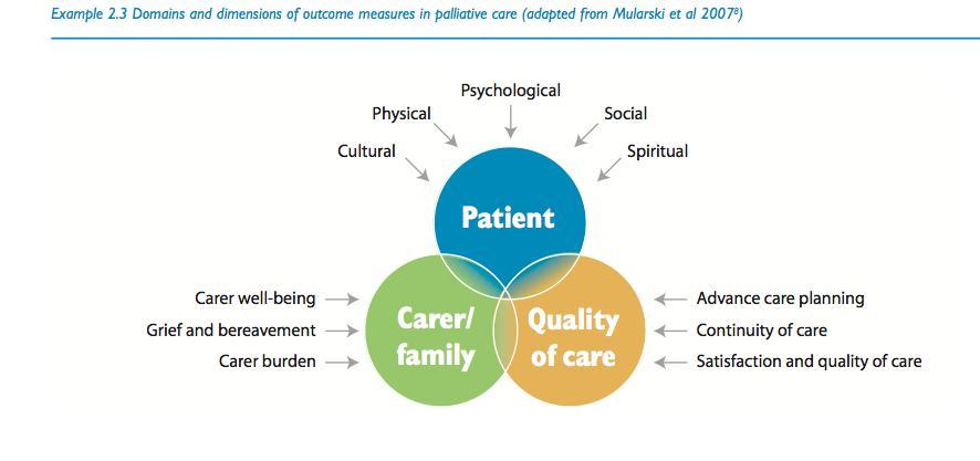 Domains and Dimensions of Outcome Measurement Outcome Measurement in Palliative Care