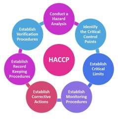 Bovine reproduction in HACCP terms What are the CCP? Chronologically?