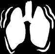 Chronic lung diseases 5. Accidents 6. Diabetes mellitus 7.