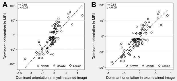 p = 0.032 for myelin; and r = 0.86; p = 0.019 for axons) as compared to DAWM (r = 0.75; p = 0.015 for myelin; and r = 0.75; p = 0.028 for axons). Fig. 174.