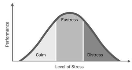 Stress Stress is how we perceive stressors such as pressures, conflicts, and frustrations.