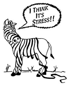 Every system in your body defines stress differently: chronic pain creates stress to the nervous system.