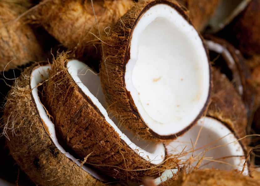 COCONUT Coconut is rich in minerals, B-complex