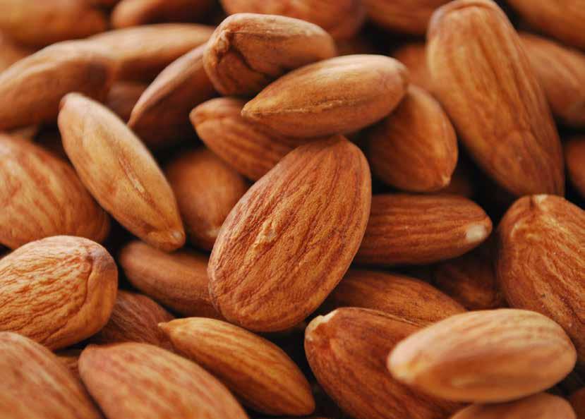 ALMOND Almonds are a very rich protein food, highly digestible