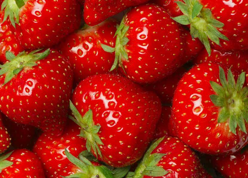 STRAWBERRY Strawberry contains