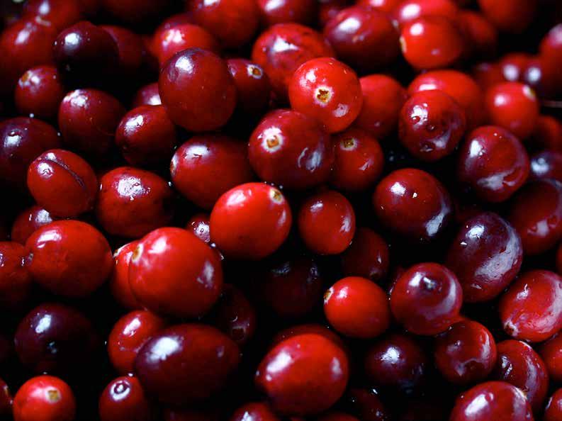 CRANBERRIES Cranberries are refreshing, astringent, tonic and diuretic.