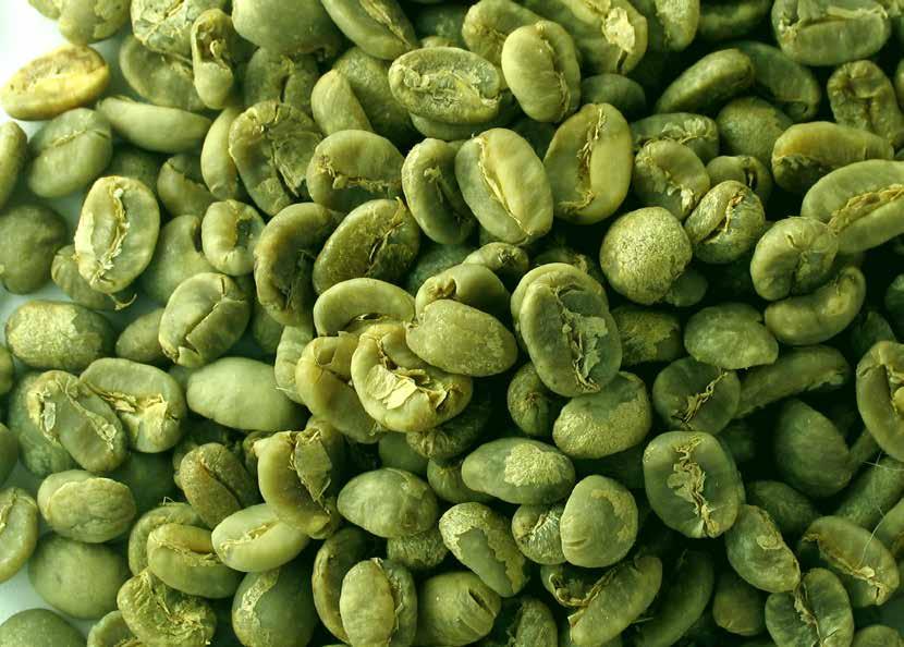 GREEN COFFEE Green coffee preserves natural coffee properties