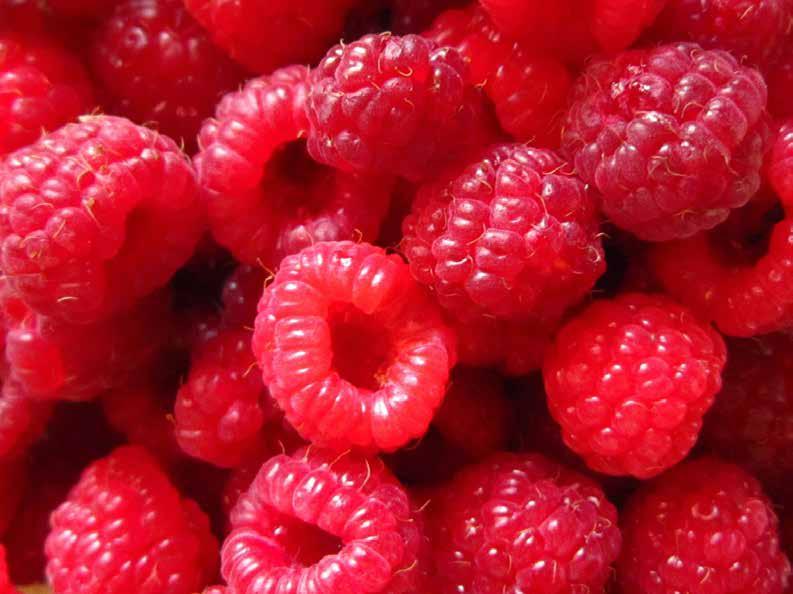 RASPBERRIES Raspberries are diuretic and
