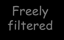 Freely filtered Not reabsorbed The ideal