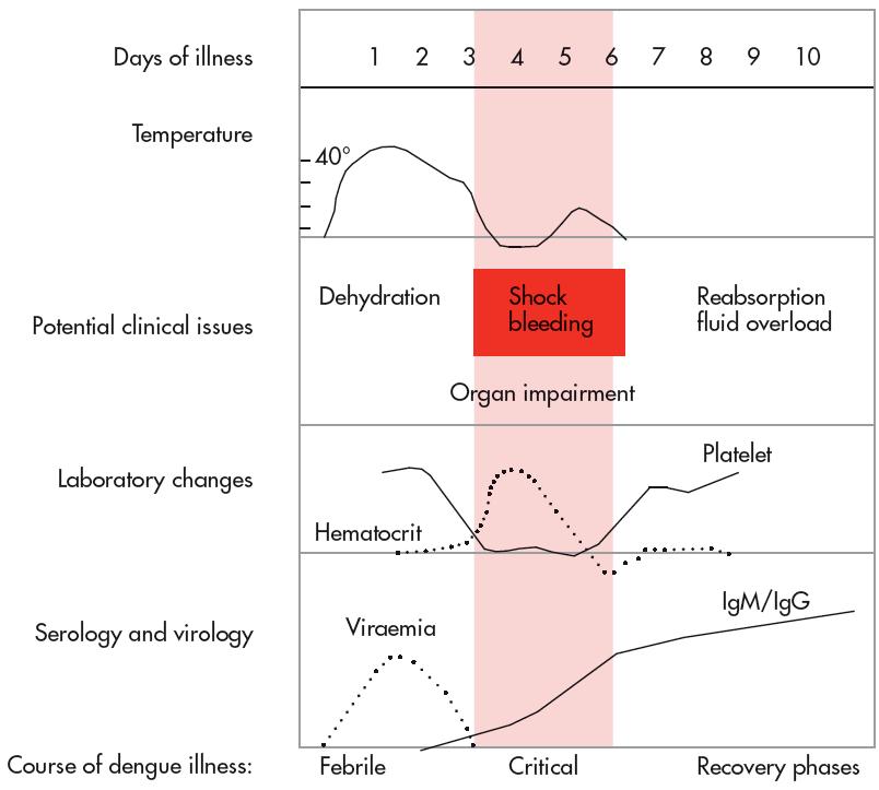 The course of dengue illness. (Figure 2.1 from the WHO s Dengue: Guidelines for Diagnosis, Treatment Prevention, and Control) 18.
