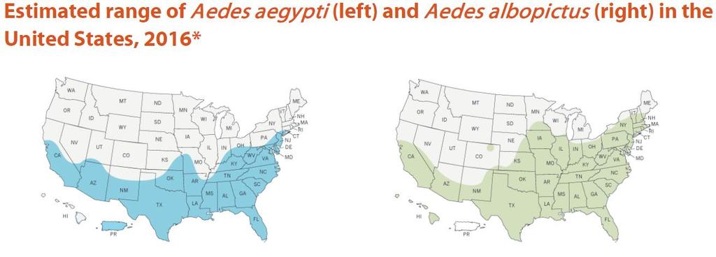 United States: Aedes aegypti and Aedes albopictus 5,47. In Arizona, Ae.