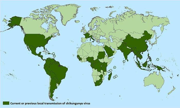In late 2013, the first cases of locally acquired chikungunya in the western hemisphere were reported among residents of St. Martin in the Caribbean 7,8.