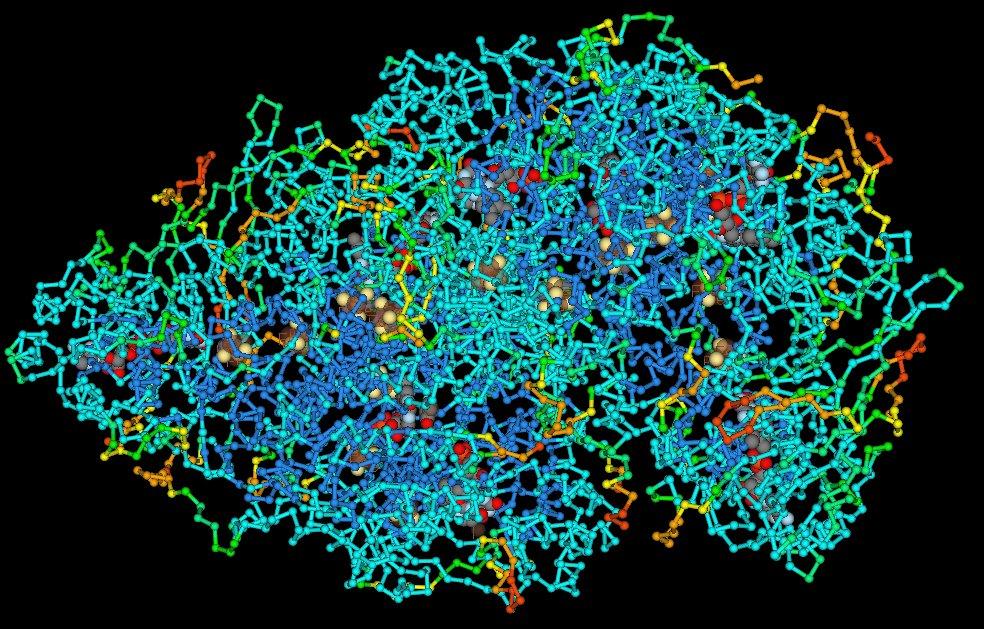 Ch. 5 Macromolecules BIOL 222 Overview: The Molecules of Life Macromolecules